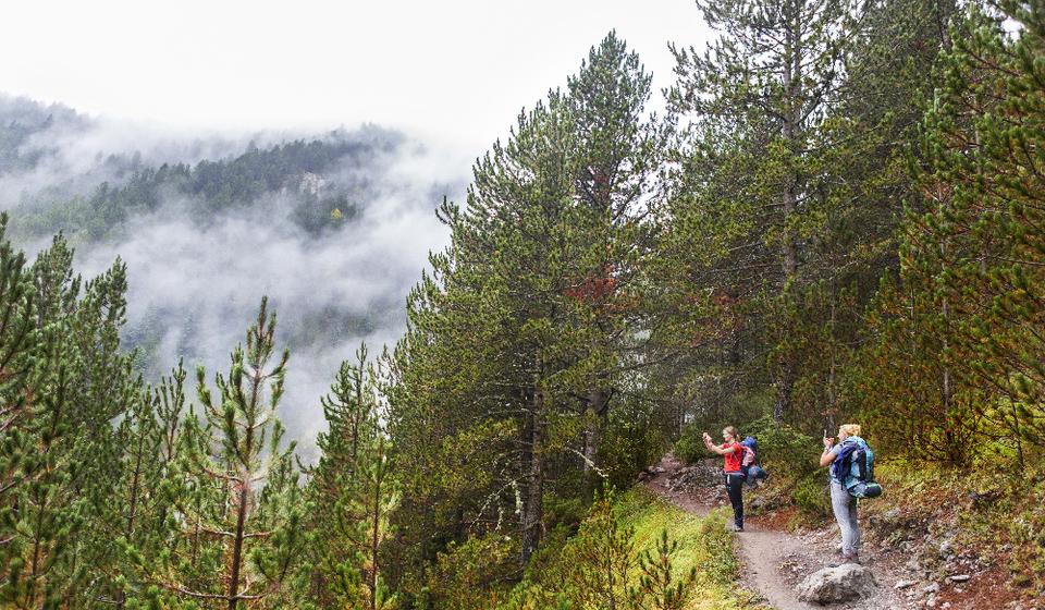 Foto privatna arhiva