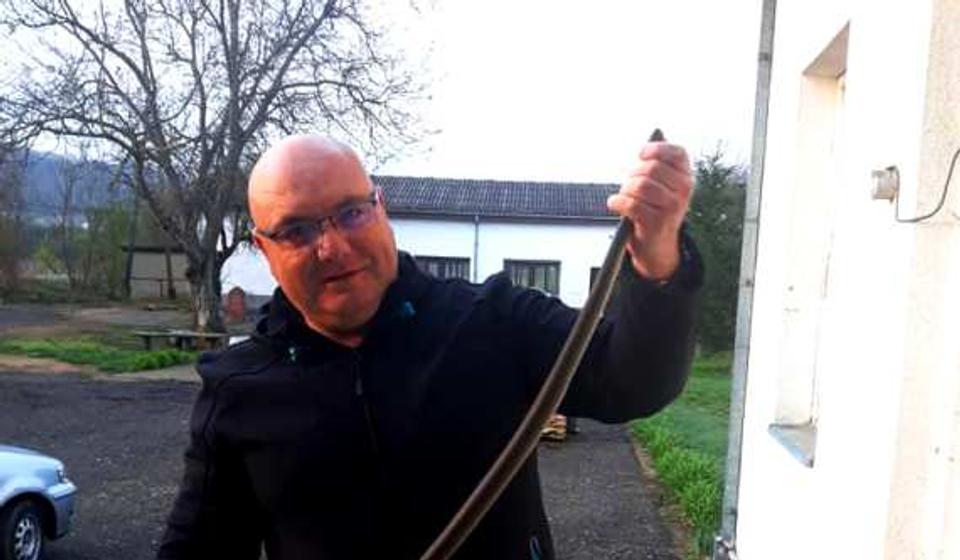 Vladica Stanković vratiće zmiju u njeno prirodno stanište. Foto privatna arhiva