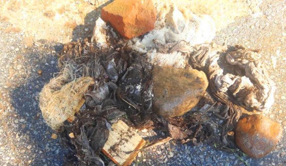 Deo izvađenog čvrstog materijala iz kanalizacije u Zmaj Jovinoj. Foto JP Vodovod