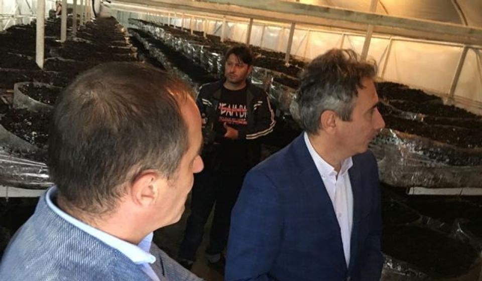 Bulatović i Milenković u terenskoj kampanji. Foto SNS