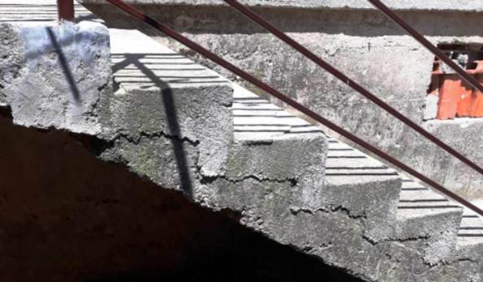 Zmija pronađena ispod stepeništa. Foto Komunalna policija