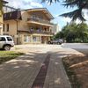 Foto Vranje News