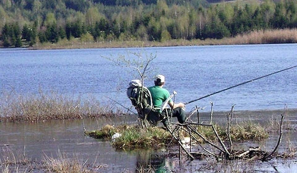 Detalj sa Somovijade 2017. Foto Fejsbuk