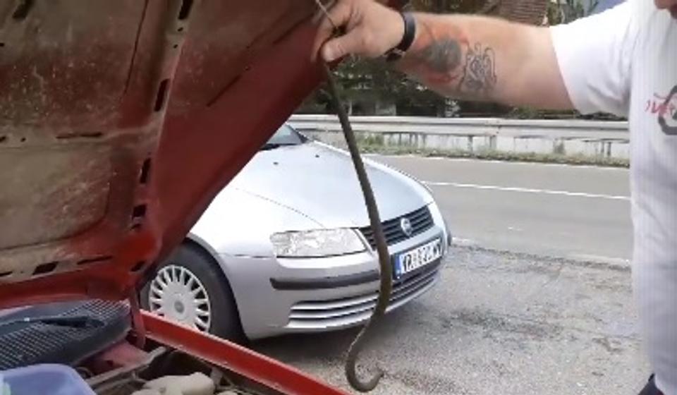 Foto Screenshot Fejsbuk Vladica Stanković