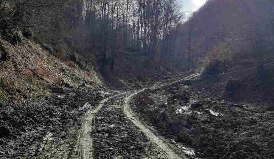 Foto Vranje News