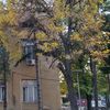 Stara Hirurgija, danas COVID bolnica u Vranju. Foto Vranje News