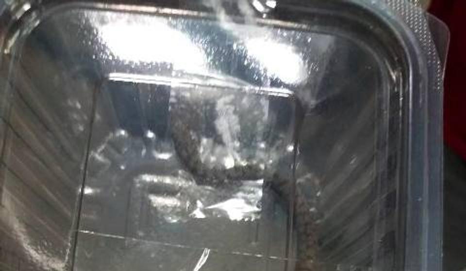 Foto privatna arhiva