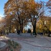 Foto Vranje News