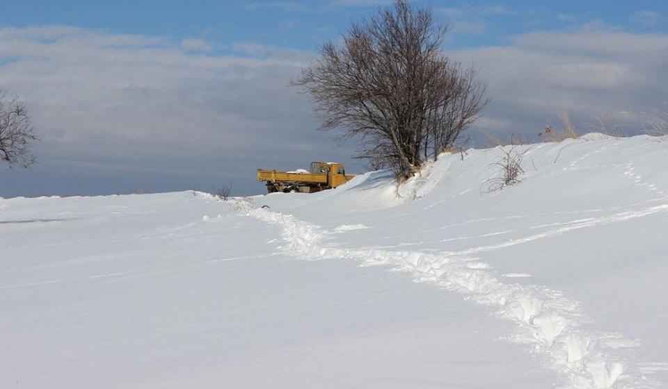 Foto ilustracija vranje.org.rs