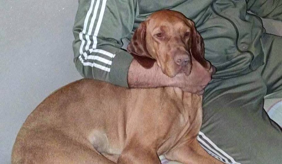 Foto porodična arhiva