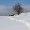 Foto ilustracija Vranje News