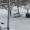 I Vranje od jutros zavejano. Foto Vranje News