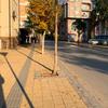 Foto Vranje News