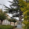 Foto Vranje News