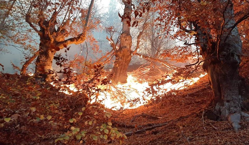 Požar na Čestelinu. Foto lična arhiva