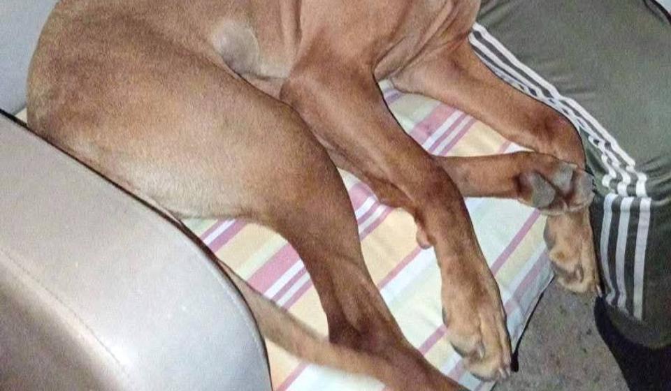 Foto porodična arhiva