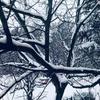 Foto Vranje News