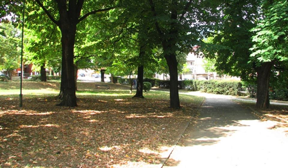 Gradski park u Vranju. Foto VranjeNews