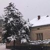 Foto Vranje News