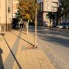 Foto Vranje News