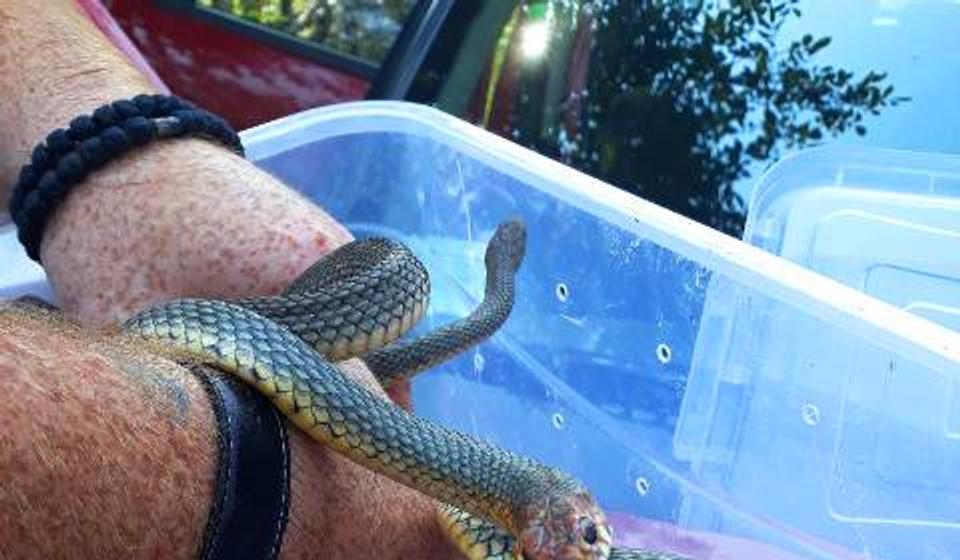 Foto privatna arhiva