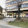 Foto Vranje News