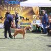 Sa današnje izložbe. Foto Vranje news