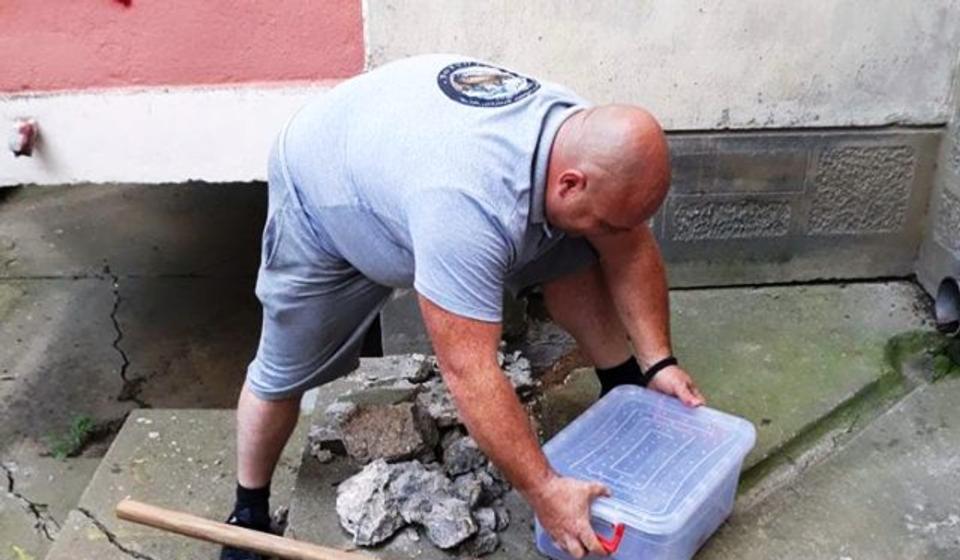 Iz urbanog u prirodno stanište. Foto VranjeNews
