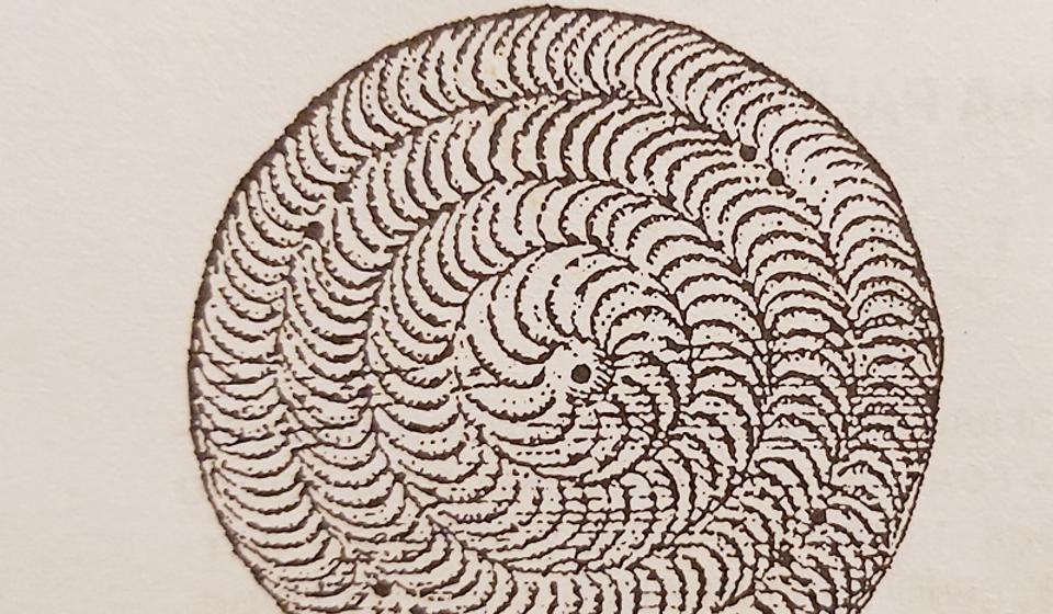 Tepeluk. Foto printscreen