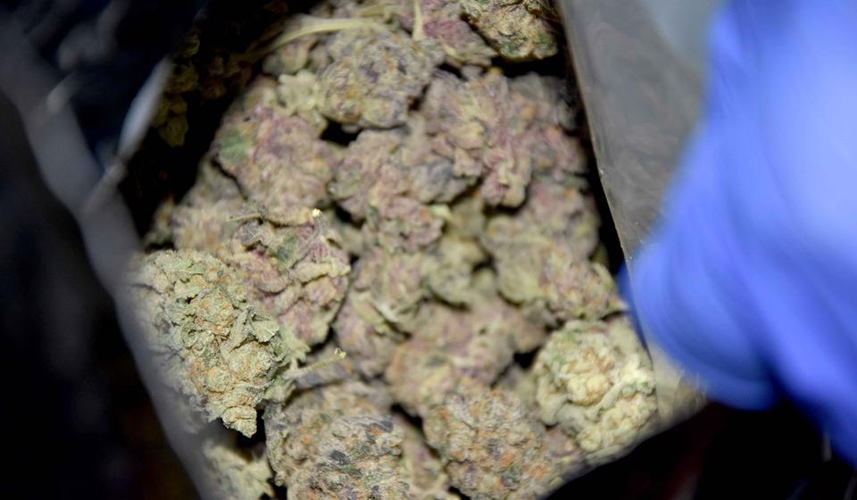 Kod osumnjičenih pronađeno 80 kilograma marihuane. Foto ilustracija UC