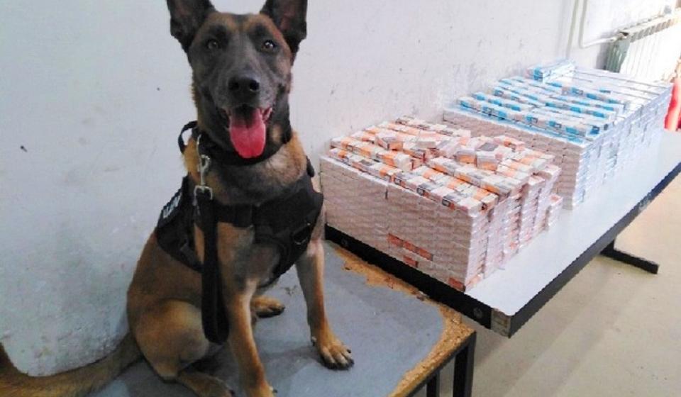 Nero sa otkrivenim paklicama pečatiranim bugarskim i makedonskim akciznim markicama. Foto Uprava carina