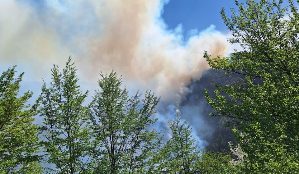 Foto ilustracija Vranje News