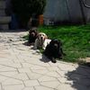 Foto Fejsbuk