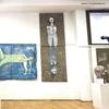 Slike će u Galeriji Narodnog univerziteta biti izložene naredne dve sedmice. Foto Vranje news