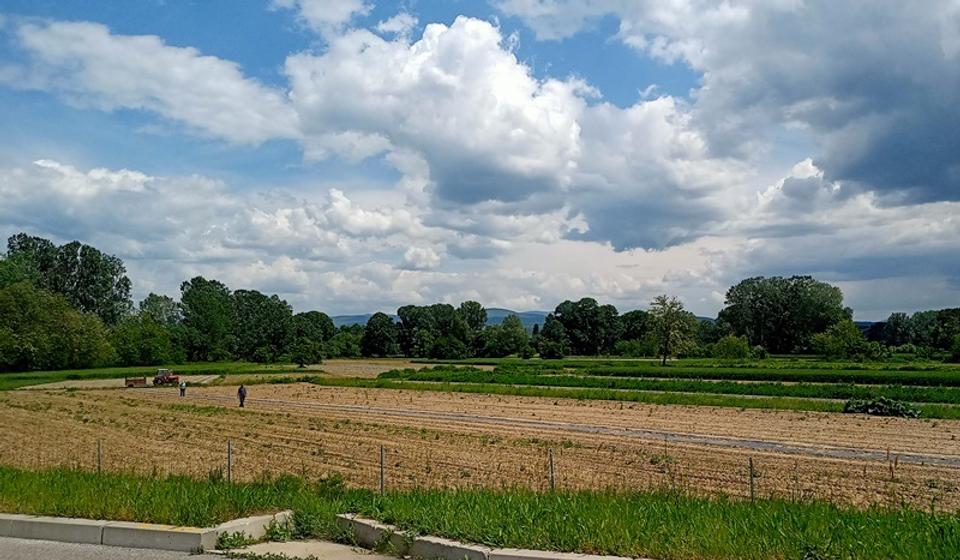 Foto ilustracija Vranje News