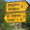 Foto Bujanovačke