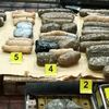 Zaplenjeno 15 kilograma marihuane. Foto MUP Srbije
