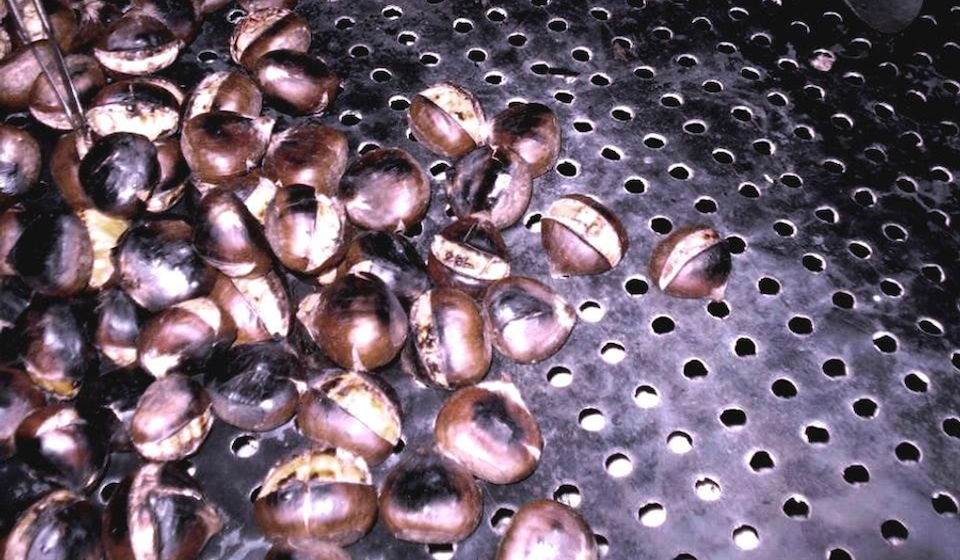 Foto lična arhiva B.M.