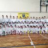 Foto Feniks