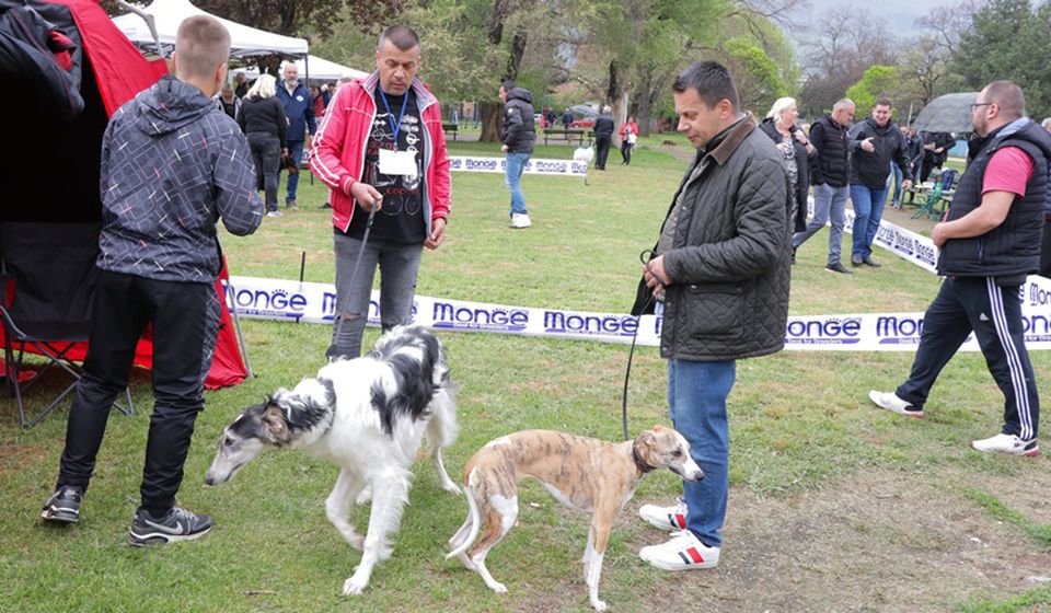 Foto Vranje News