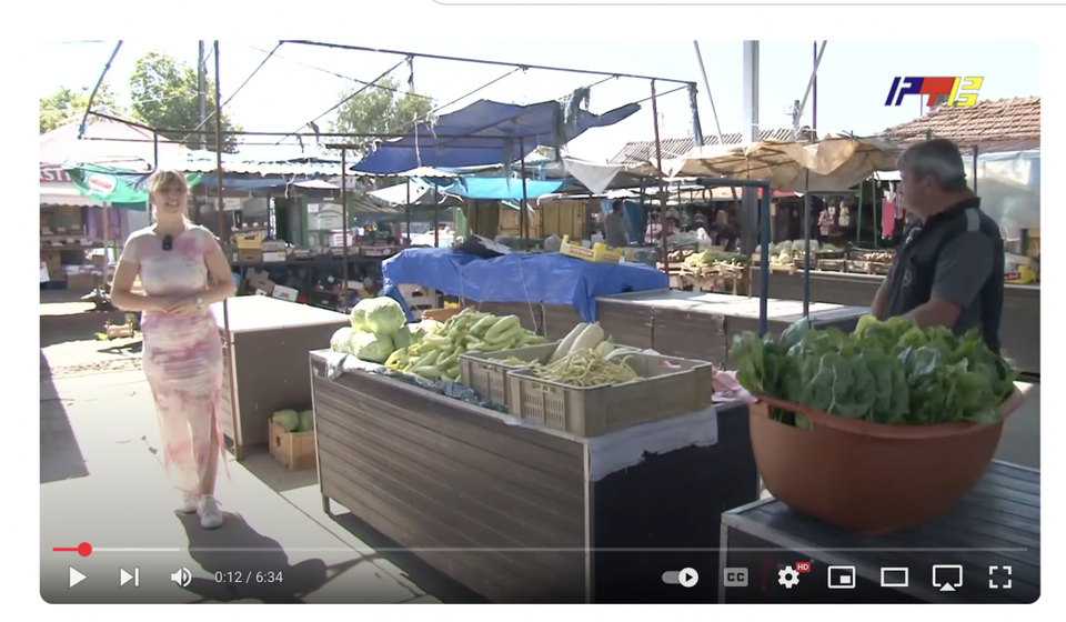 Ovo nisu Roze poze, ovo je Er-te-ve direk. Foto YouTube (printscreen kanala RTV doo)