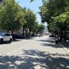 Foto kosmitrovica.rs