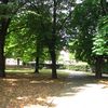 Gradski park u Vranju. Foto Vranje News