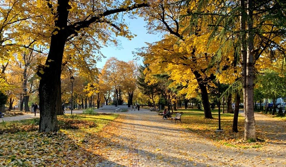 Foto ilustracija Vranje news