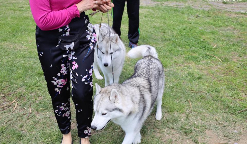 Foto Vranje news
