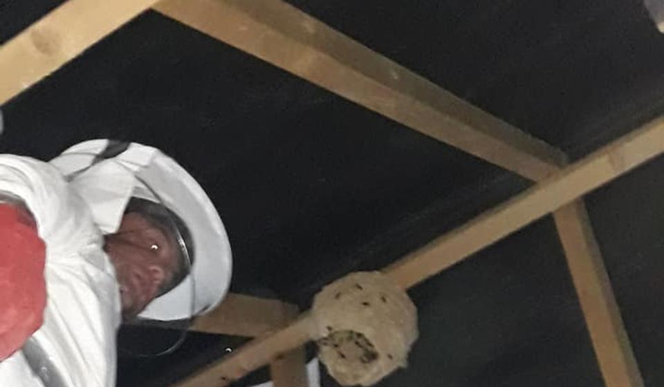 Foto Fejsbuk profil Vladice Stankovića