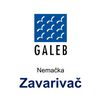 Foto Galeb