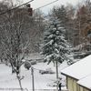 Foto ilustracija Vranje News