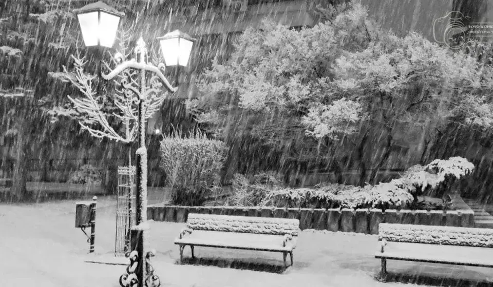 Drugo mesto. Foto CMTDO