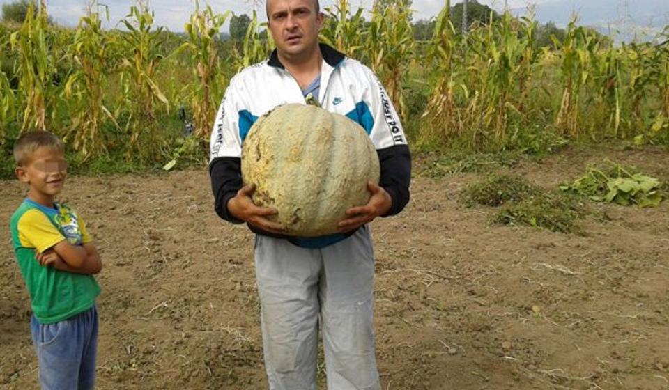 Saša Krstić. Foto privatna arhiva